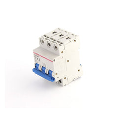 DISJONCTEUR PHASE+NEUTRE 10A
